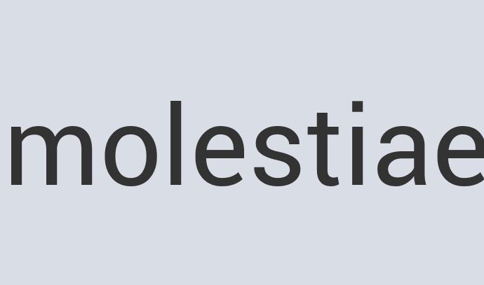 Fantastic Marble Besto