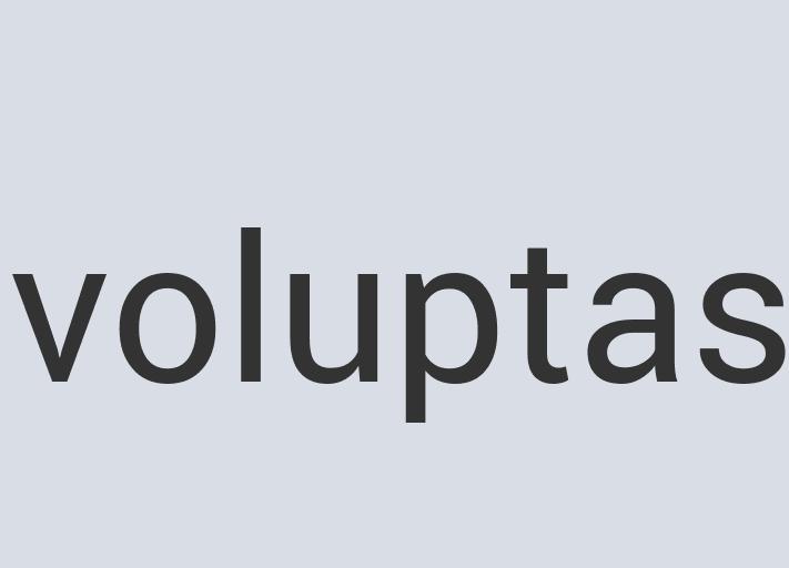 Ergonomic Wooden Magic Leather