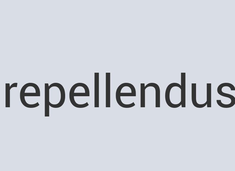 Intelligent Wooden Zedalis