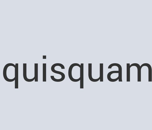 Heavy Duty Leather Currency Net